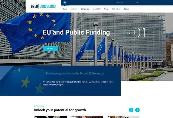 B2EU Consulting