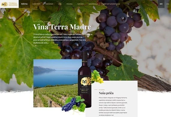 Wines Terra Madre