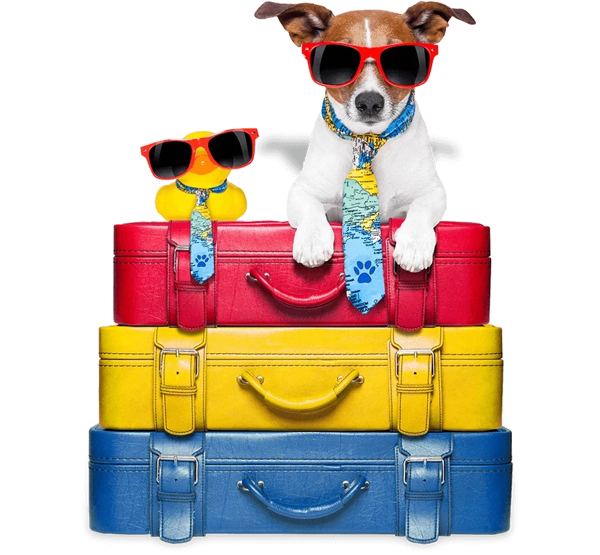 Privucite pozornost potencijalnih gostiju